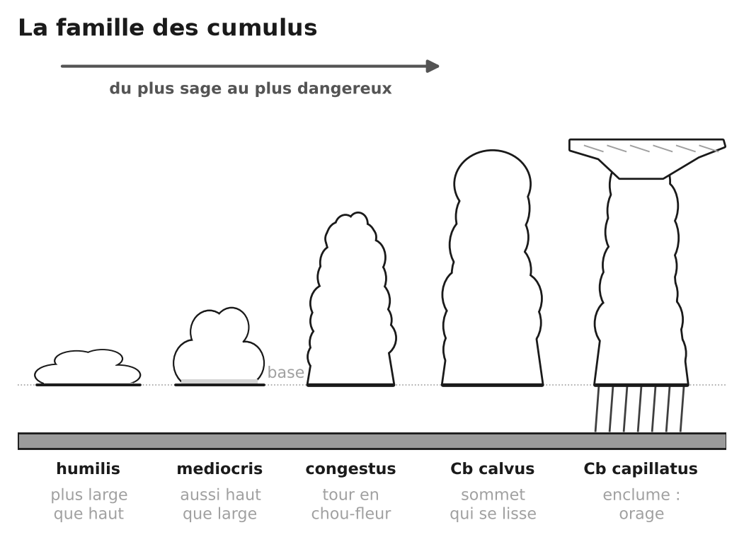 Cinq cumulus alignés sur une même base, du humilis plat au cumulonimbus à enclume, du plus sage au plus dangereux.